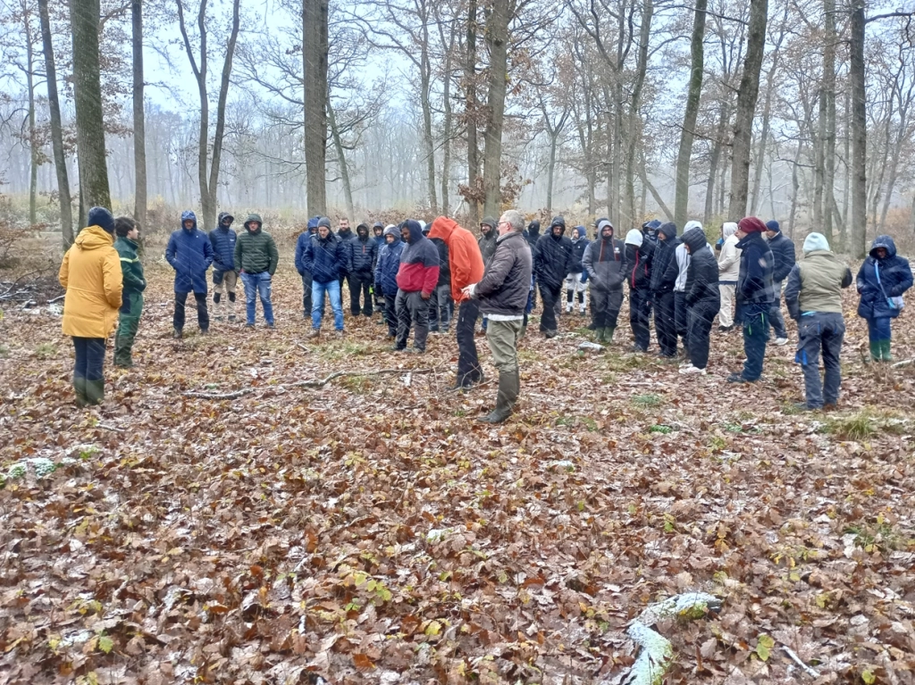 Découverte de la filière bois : nos apprenant-es en forêt